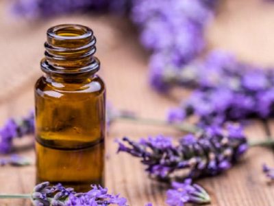 Lavender-oil_x600